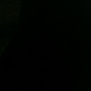 Meet your Posher, Terrell